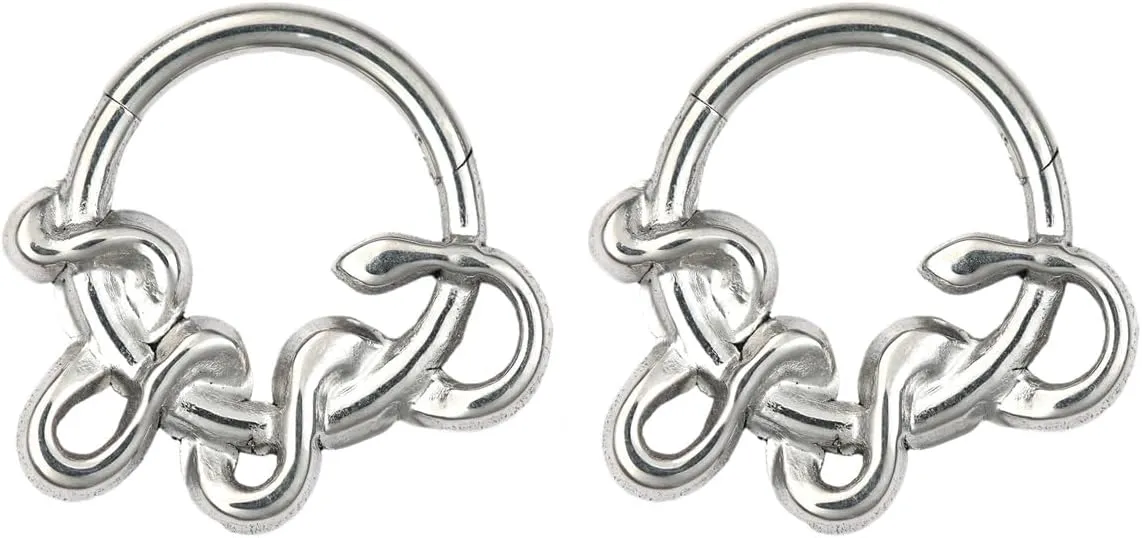 2Pcs 16G Silver Snake Septum Rings for Women Men 316L Surgical Steel Septum Jewelry 8mm Hoop Nose Rings Cartilage Earrings Simple Body Piercing Jewelry